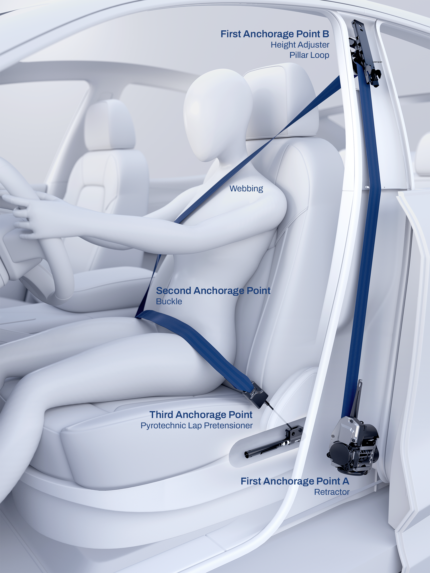 Seatbelt